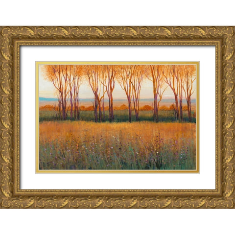 Glow in the Afternoon II Gold Ornate Wood Framed Art Print with Double Matting by OToole, Tim