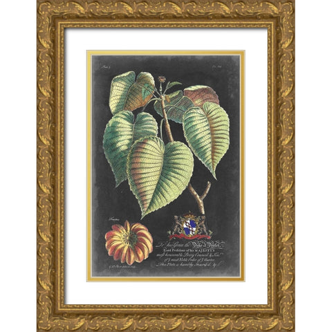 Dramatic Royal Botanical I Gold Ornate Wood Framed Art Print with Double Matting by Ehret, George