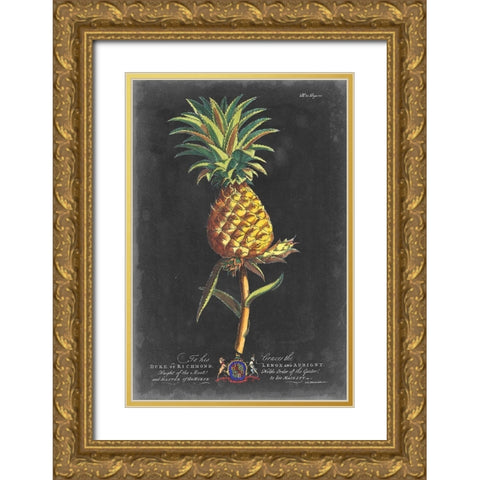 Dramatic Royal Botanical II Gold Ornate Wood Framed Art Print with Double Matting by Ehret, George