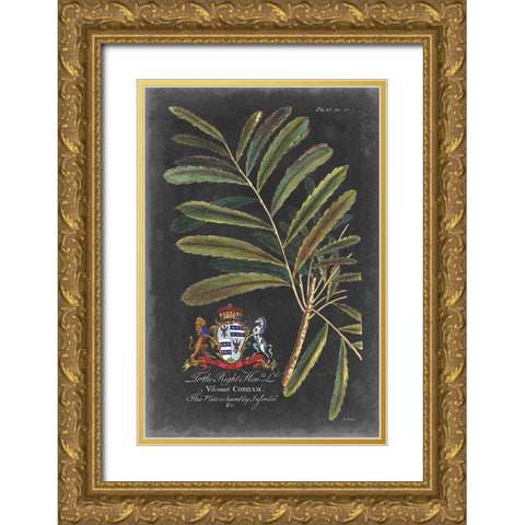 Dramatic Royal Botanical III Gold Ornate Wood Framed Art Print with Double Matting by Ehret, George
