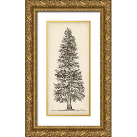 Pacific Northwest Tree Sketch I Gold Ornate Wood Framed Art Print with Double Matting by Wang, Melissa