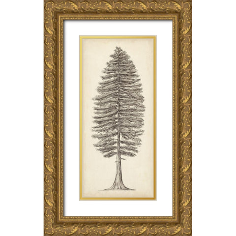 Pacific Northwest Tree Sketch II Gold Ornate Wood Framed Art Print with Double Matting by Wang, Melissa
