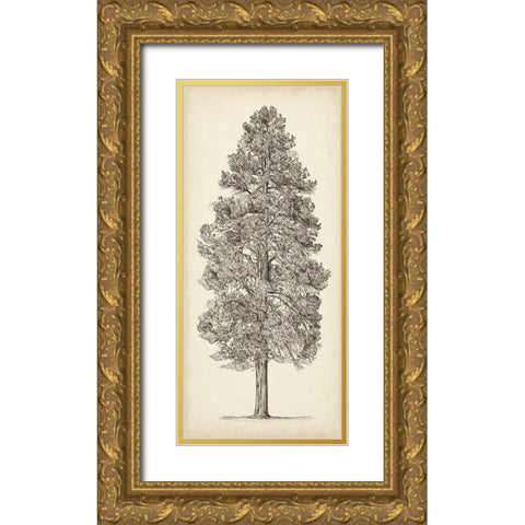 Pacific Northwest Tree Sketch III Gold Ornate Wood Framed Art Print with Double Matting by Wang, Melissa