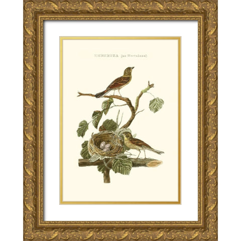 Nozeman Common Teal Nest Gold Ornate Wood Framed Art Print with Double Matting by Nozeman