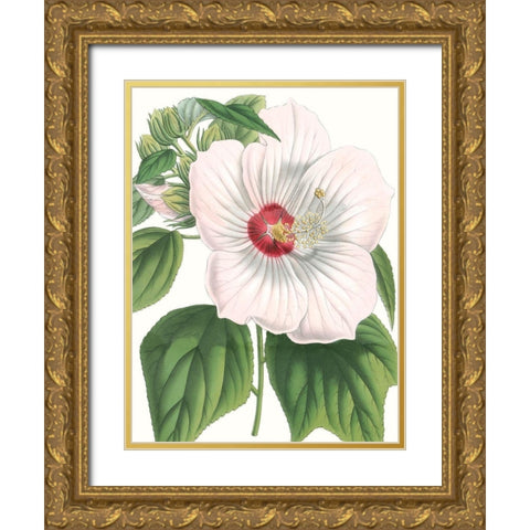 Floral Beauty IV Gold Ornate Wood Framed Art Print with Double Matting by Vision Studio