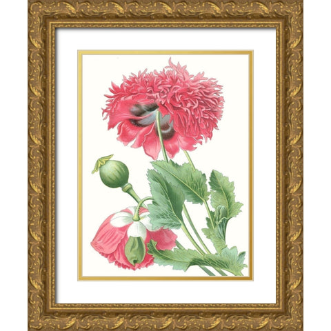 Floral Beauty V Gold Ornate Wood Framed Art Print with Double Matting by Vision Studio