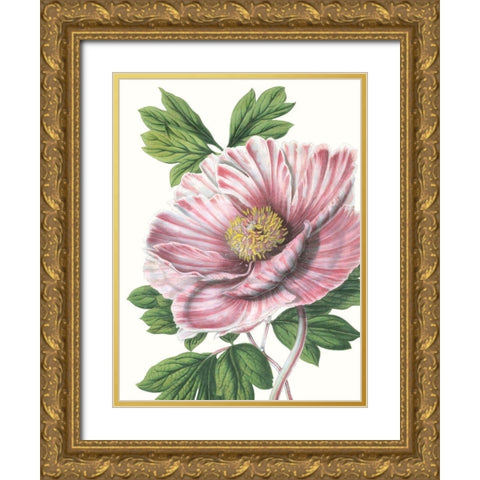 Floral Beauty VI Gold Ornate Wood Framed Art Print with Double Matting by Vision Studio