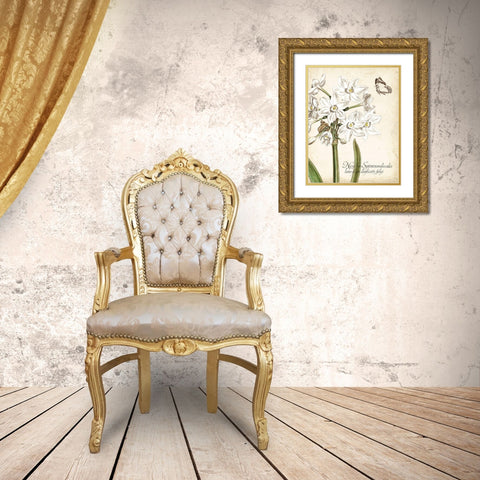 Narcissus Botanique I Gold Ornate Wood Framed Art Print with Double Matting by Vision Studio