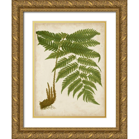 Fern Trio II Gold Ornate Wood Framed Art Print with Double Matting by Vision Studio