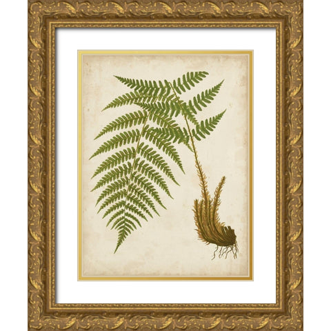 Fern Trio III Gold Ornate Wood Framed Art Print with Double Matting by Vision Studio