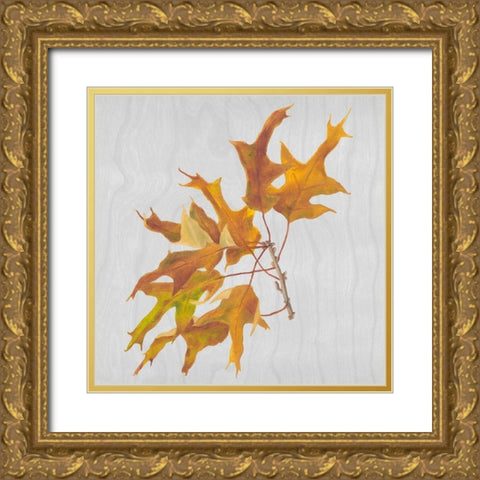 Autumn Leaves III Gold Ornate Wood Framed Art Print with Double Matting by Miller, Dianne