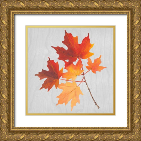 Autumn Leaves IV Gold Ornate Wood Framed Art Print with Double Matting by Miller, Dianne