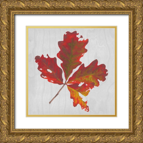 Autumn Leaves V Gold Ornate Wood Framed Art Print with Double Matting by Miller, Dianne