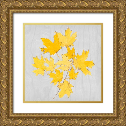 Autumn Leaves VII Gold Ornate Wood Framed Art Print with Double Matting by Miller, Dianne