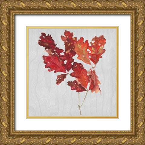 Autumn Leaves VIII Gold Ornate Wood Framed Art Print with Double Matting by Miller, Dianne