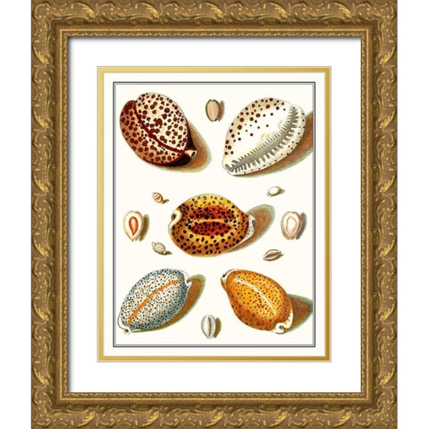 Collected Shells III Gold Ornate Wood Framed Art Print with Double Matting by Vision Studio