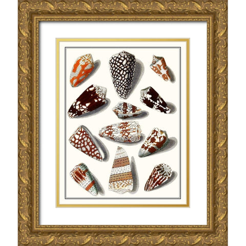 Collected Shells V Gold Ornate Wood Framed Art Print with Double Matting by Vision Studio