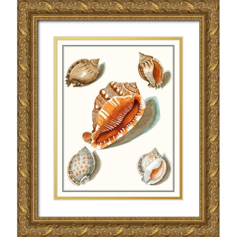 Collected Shells VII Gold Ornate Wood Framed Art Print with Double Matting by Vision Studio