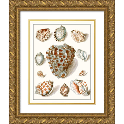 Collected Shells VIII Gold Ornate Wood Framed Art Print with Double Matting by Vision Studio