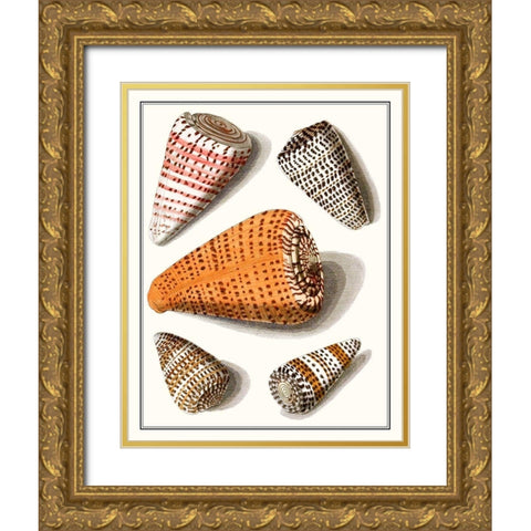 Collected Shells IX Gold Ornate Wood Framed Art Print with Double Matting by Vision Studio