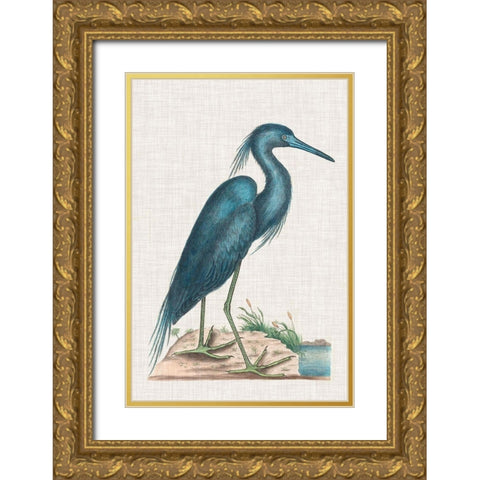 Catesby Heron II Gold Ornate Wood Framed Art Print with Double Matting by Catesby, Mark