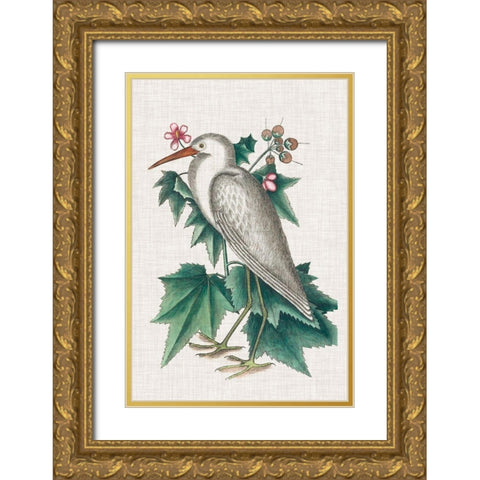 Catesby Heron III Gold Ornate Wood Framed Art Print with Double Matting by Catesby, Mark