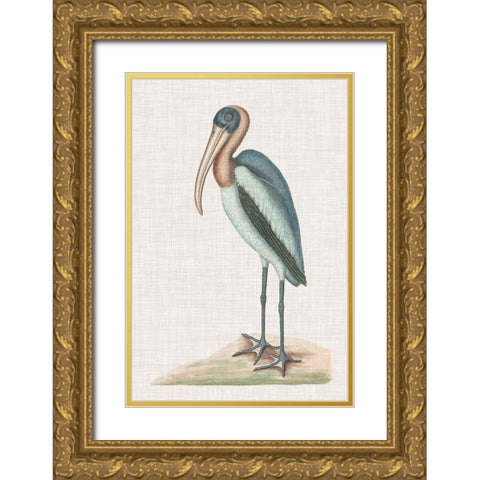 Catesby Heron IV Gold Ornate Wood Framed Art Print with Double Matting by Catesby, Mark