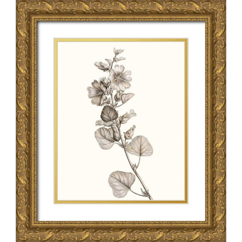 Neutral Botanical Study I Gold Ornate Wood Framed Art Print with Double Matting by Vision Studio