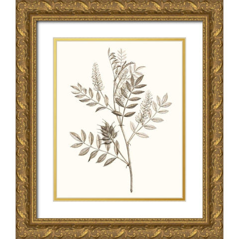 Neutral Botanical Study III Gold Ornate Wood Framed Art Print with Double Matting by Vision Studio