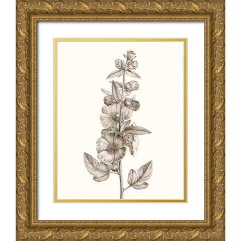 Neutral Botanical Study V Gold Ornate Wood Framed Art Print with Double Matting by Vision Studio