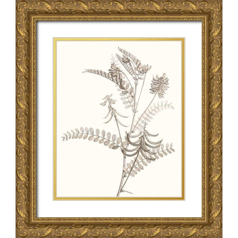 Neutral Botanical Study VII Gold Ornate Wood Framed Art Print with Double Matting by Vision Studio