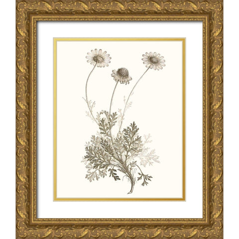 Neutral Botanical Study VIII Gold Ornate Wood Framed Art Print with Double Matting by Vision Studio