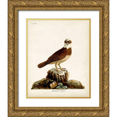 Spectacle Owl Gold Ornate Wood Framed Art Print with Double Matting by Latham, John