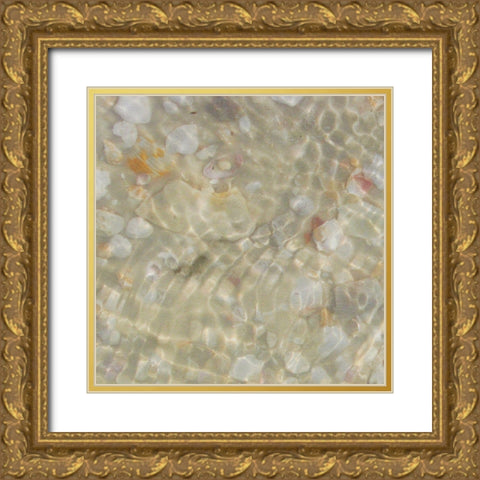 Shell Squares I Gold Ornate Wood Framed Art Print with Double Matting by Ilosky, Pam
