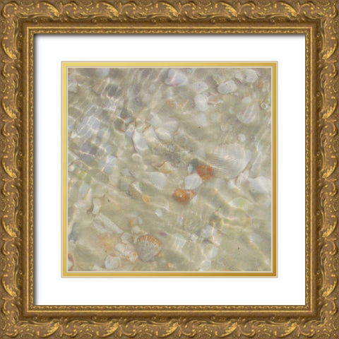 Shell Squares II Gold Ornate Wood Framed Art Print with Double Matting by Ilosky, Pam