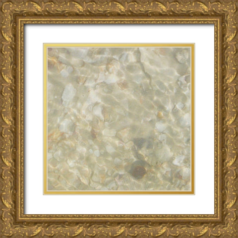 Shell Squares IV Gold Ornate Wood Framed Art Print with Double Matting by Ilosky, Pam