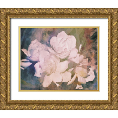 Blush Gardenia Beauty I Gold Ornate Wood Framed Art Print with Double Matting by Chandler, Sharon
