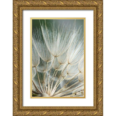 Macro Dandilion II Gold Ornate Wood Framed Art Print with Double Matting by Stramel, Renee W.