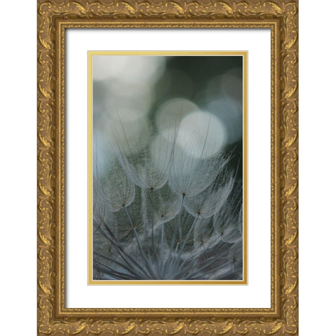 Macro Dandilion IX Gold Ornate Wood Framed Art Print with Double Matting by Stramel, Renee W.