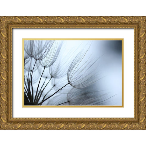Macro Dandilion XI Gold Ornate Wood Framed Art Print with Double Matting by Stramel, Renee W.