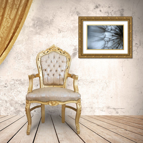 Macro Dandilion XII Gold Ornate Wood Framed Art Print with Double Matting by Stramel, Renee W.