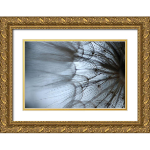 Macro Dandilion XII Gold Ornate Wood Framed Art Print with Double Matting by Stramel, Renee W.