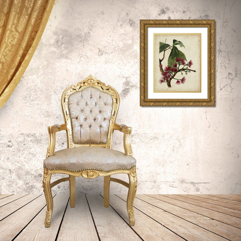 Non-Embellished Antique Fringe Tree Gold Ornate Wood Framed Art Print with Double Matting by Weddell