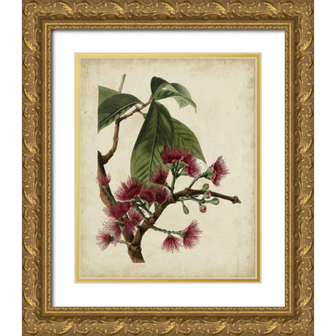 Non-Embellished Antique Fringe Tree Gold Ornate Wood Framed Art Print with Double Matting by Weddell