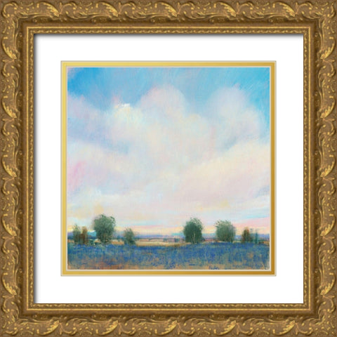 Summer Sky II Gold Ornate Wood Framed Art Print with Double Matting by OToole, Tim