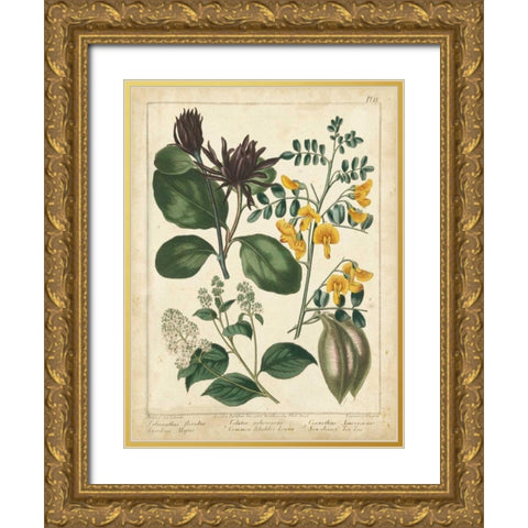 Non-Embellish Enchanted Garden I Gold Ornate Wood Framed Art Print with Double Matting by Edwards, Sydenham