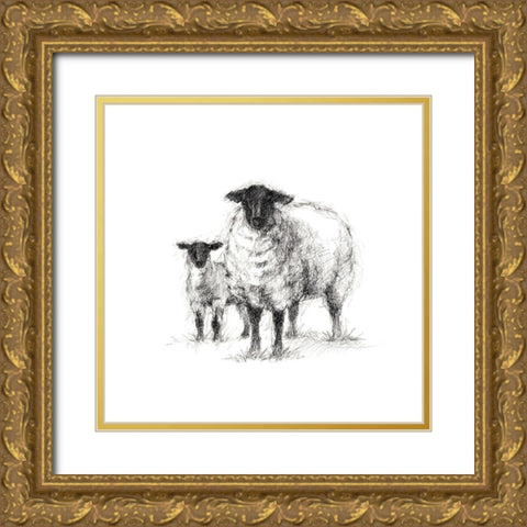 Charcoal Sheep Study I Gold Ornate Wood Framed Art Print with Double Matting by Harper, Ethan