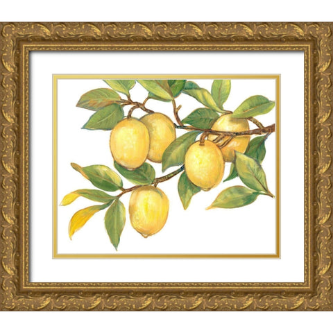 Ripe for Picking I Gold Ornate Wood Framed Art Print with Double Matting by OToole, Tim