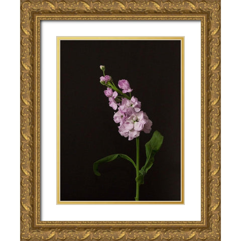 Dark and Dreamy II Gold Ornate Wood Framed Art Print with Double Matting by Stramel, Renee W.