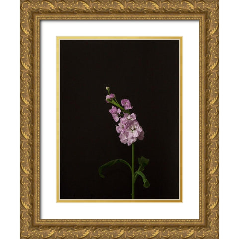 Dark and Dreamy III Gold Ornate Wood Framed Art Print with Double Matting by Stramel, Renee W.